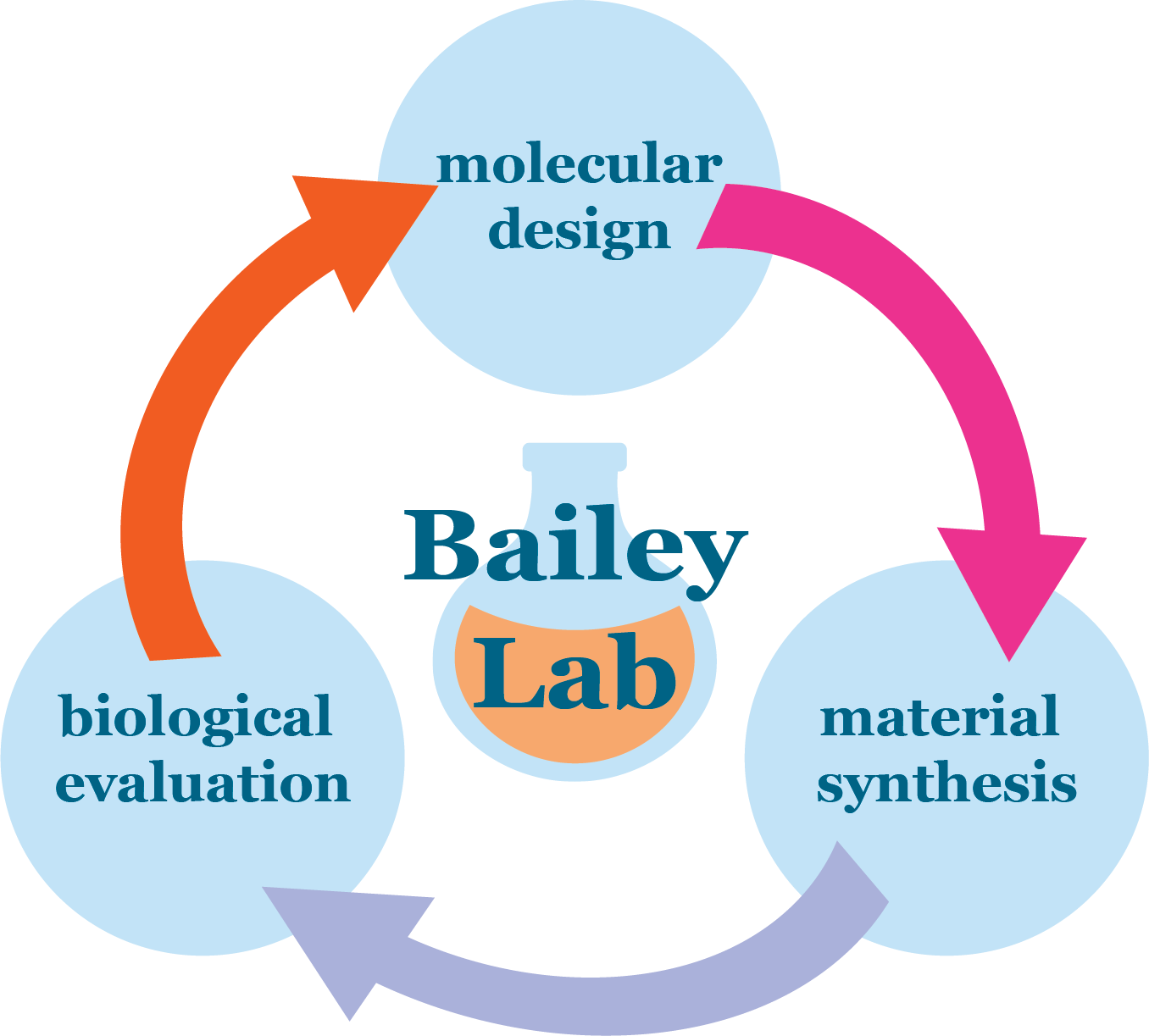 Overview schematic of the Bailey Lab - highlighting the relationship between molecular design, material synthesis, and biological evaluation